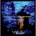 David Wilcox - Underneath David Wilcox - Underneath